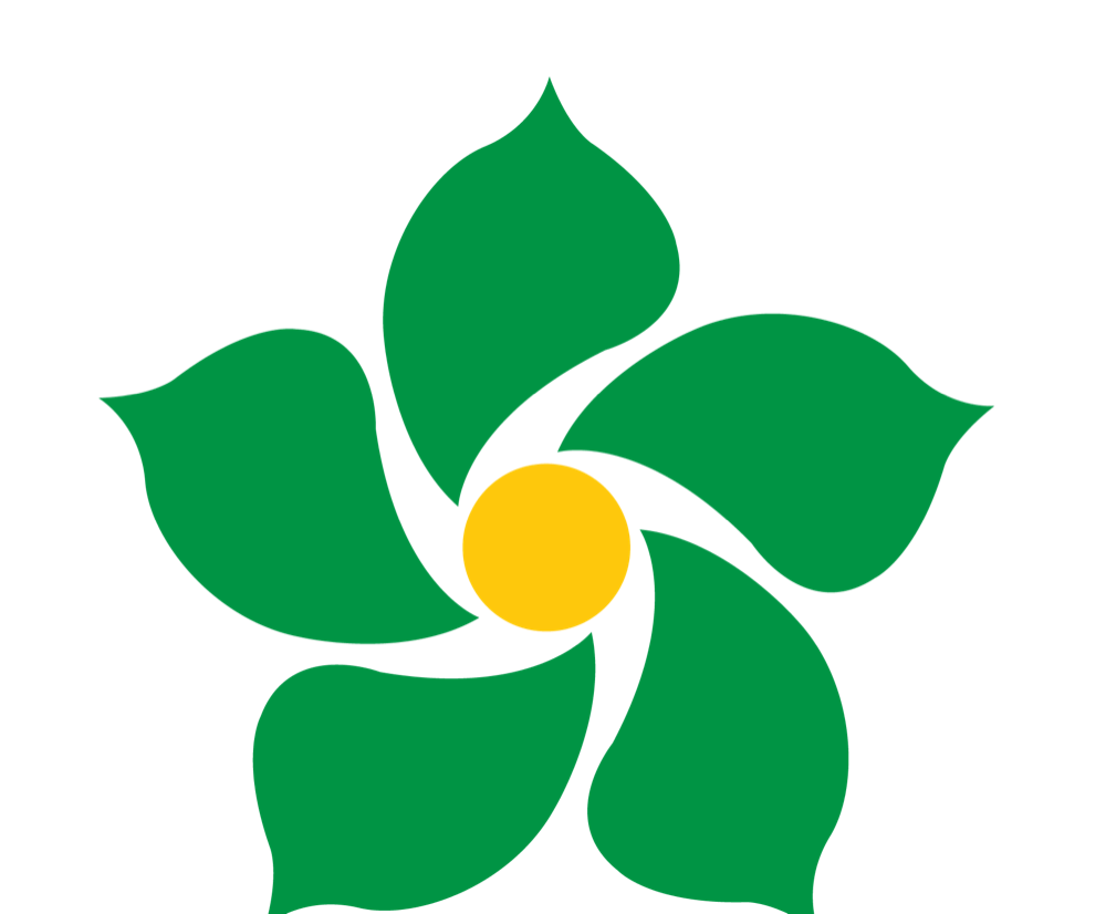 Hoa mai — biểu tượng Mai Hoa Group